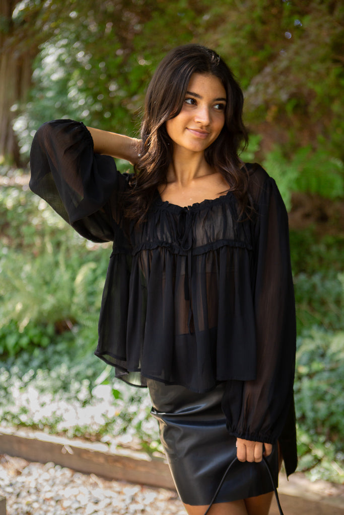 Sheer Long Sleeve Blouse - Black