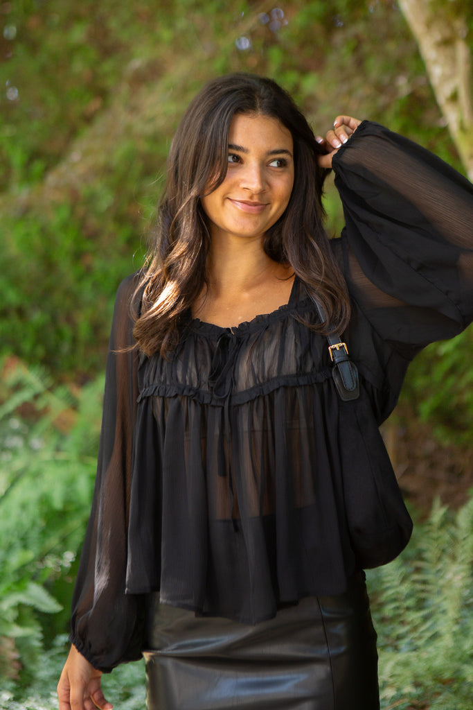 Sheer Long Sleeve Blouse - Black