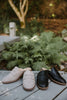 Slip On Loafer - Black