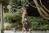 Fall Floral Front Tie Dress - Brown